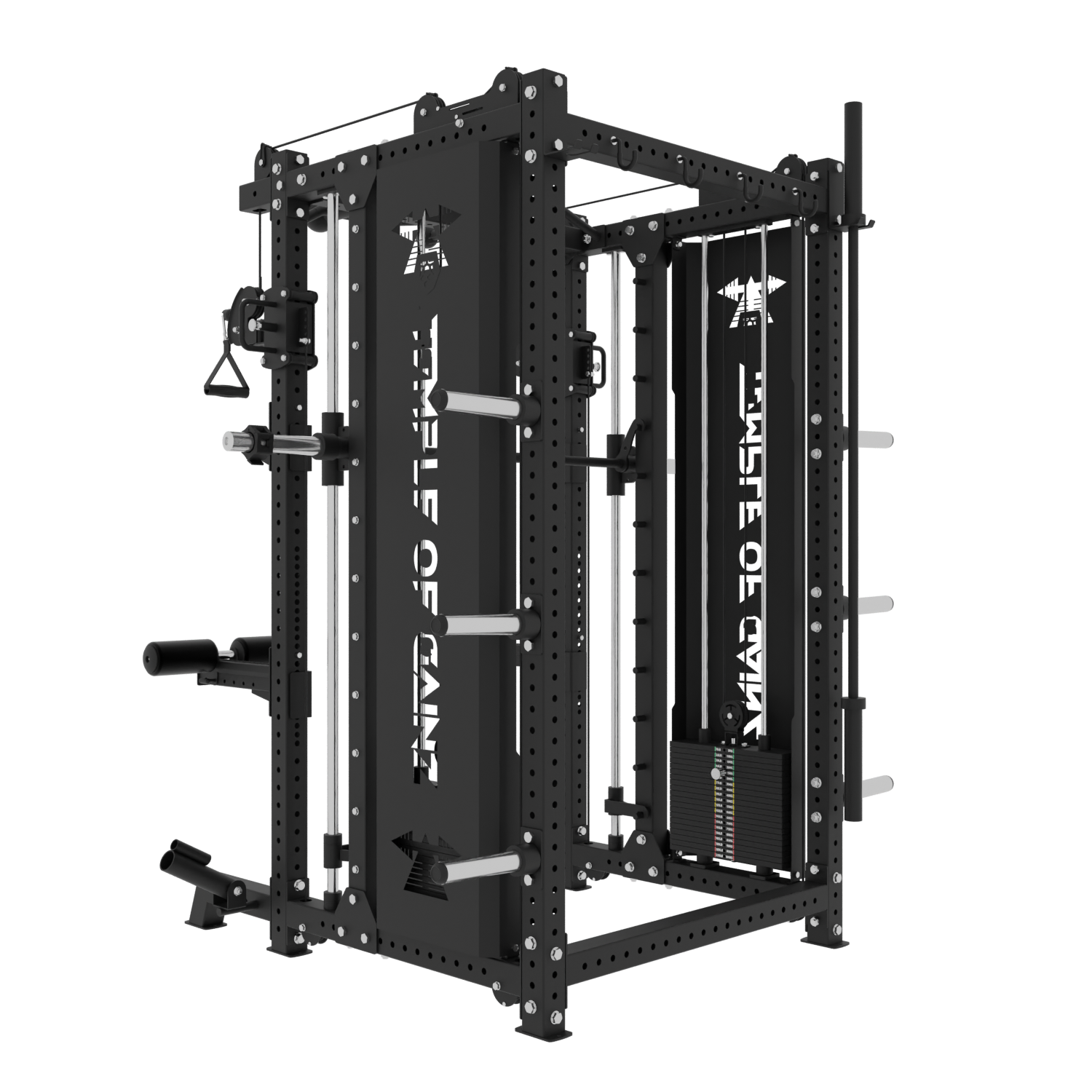 ALL-IN-ONE POWER RACK + FUNCTIONAL TRAINER + SMITH MACHINE – Temple of ...