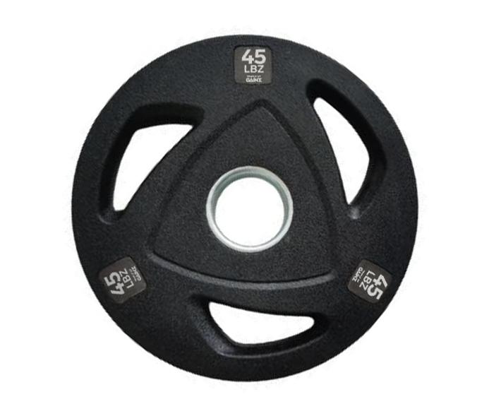 45 POUND WEIGHT PLATE Temple of Gainz