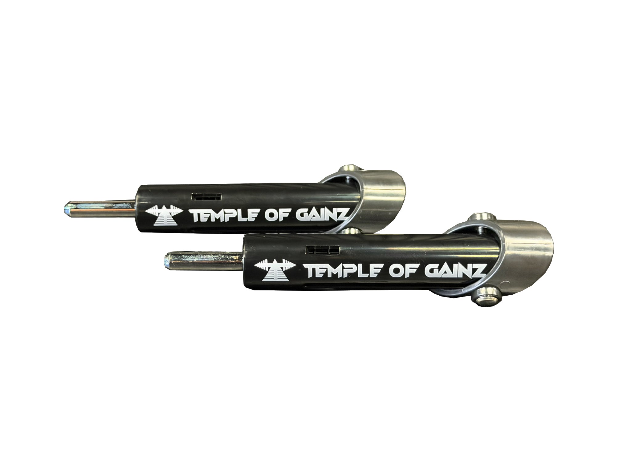 Temple of Gainz Drop Set Pinz