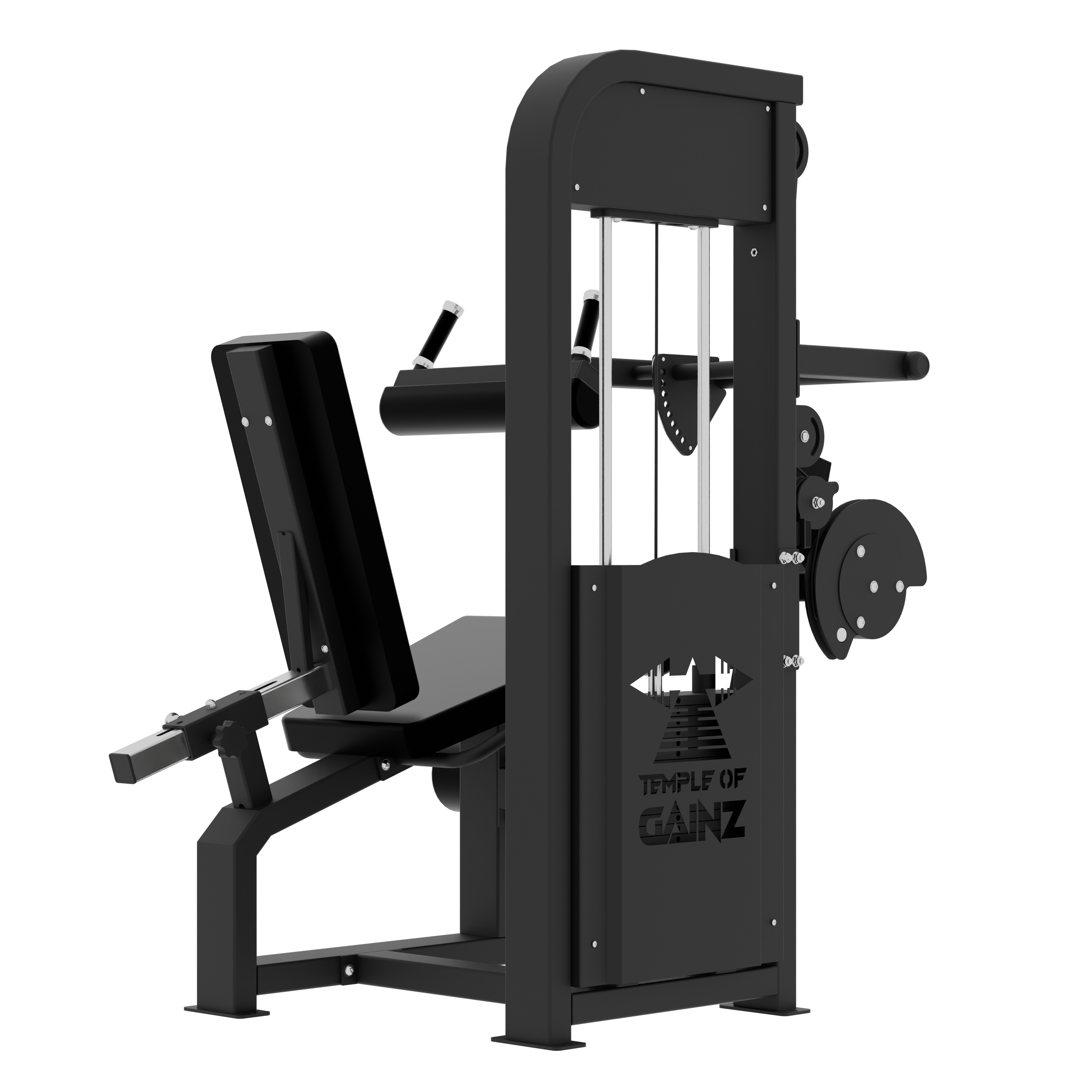 SELECTORIZED LEG EXTENSION + SEATED LEG CURL VERSION 3 – Temple of SELECTORIZED LEG EXTENSION + SEATED LEG CURL VERSION 3 – Temple of