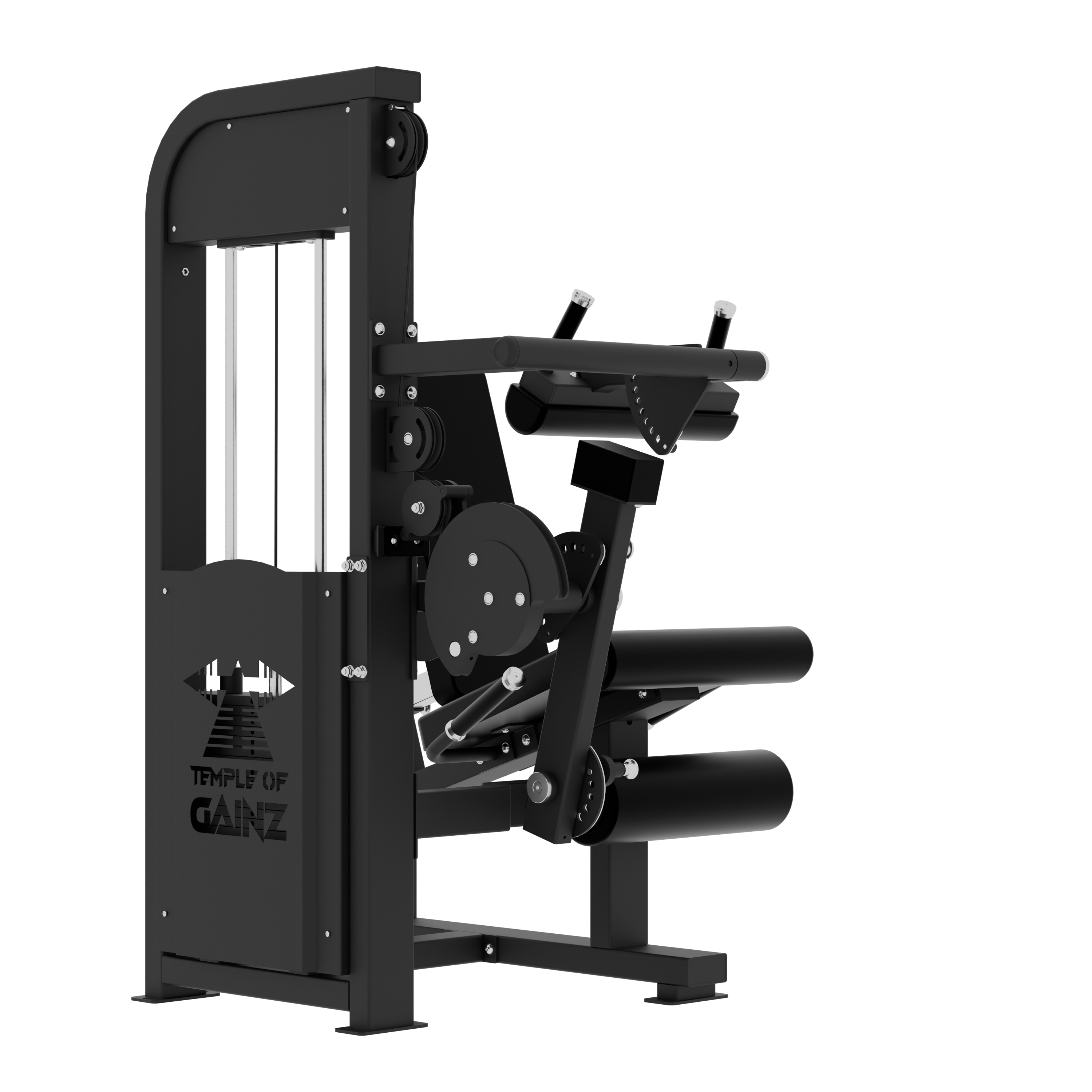 SELECTORIZED LEG EXTENSION + SEATED LEG CURL VERSION 3 – Temple of SELECTORIZED LEG EXTENSION + SEATED LEG CURL VERSION 3 – Temple of